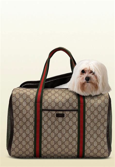 designer dog bags gucci|Gucci leash for dogs.